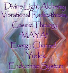 Endocrine System Healing